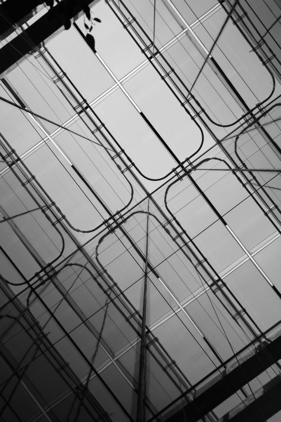 Working Process