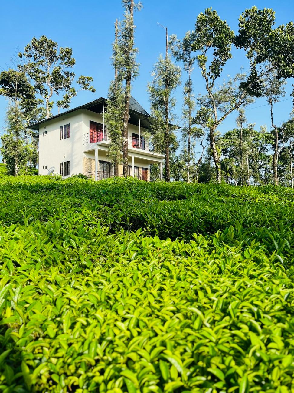 Residential Project